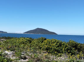 From Hawks Nest Beach 2