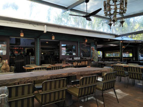 Treehouse Bar 1