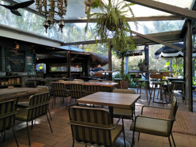 Treehouse Bar 2