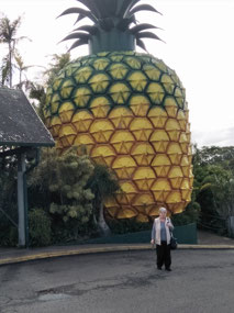 Big Pineapple