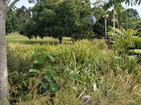 Gardens in Montville 1
