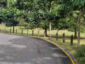 Gardens in Montville 2