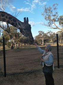 Linda Feeding a Giraffe