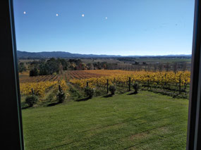 View from First Ridge Wines
