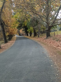 Byers Ave in Hill End