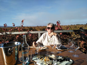 Linda in Yarran Vineyard