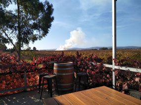 Yarran Vineyard and burn off off the rice crop