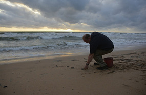 Releasing Turtles