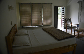 Aranywas