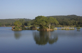 Ranthambhore