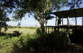 Trekking in the Jungle