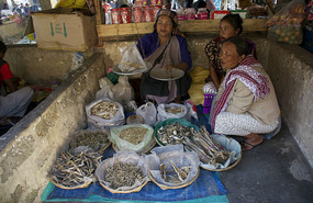 Kharsi Women at the market