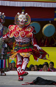 The Skeleton Dance