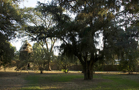 The Gardens