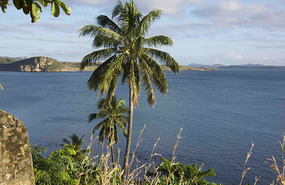 Just a small view of the bay