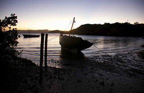 Sunset from the Mangroves