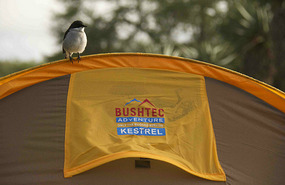 Camping