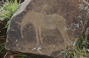 San Rock Engravings