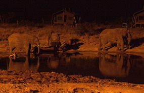 The windy campsite