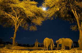 The Hide again, full moon