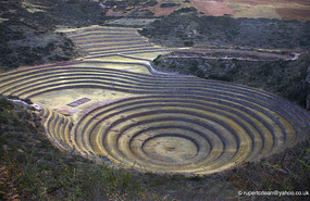 Moray