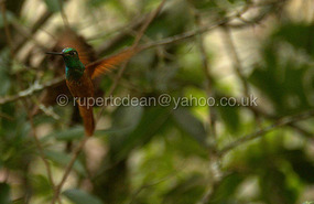 In flight