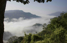 The Naga Hills