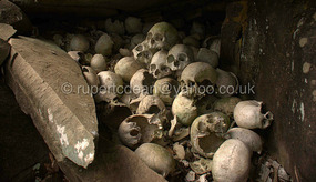 Sacred Skulls