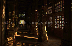 Morning Light