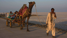 Tourist Camel Rides on the Salt Flats
