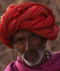Local Shepherd