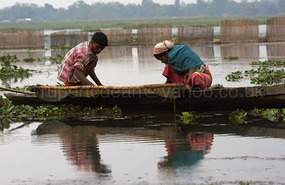 Maguri–Motapung Beel Of Tinsukia