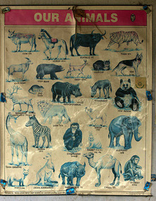 Our Animals Poster at Dibru-Saikhowa National Park