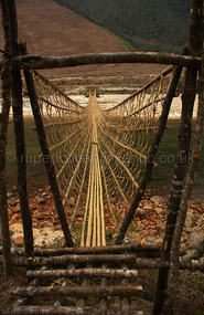 The Bamboo Bridge