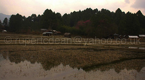 Village and paddies