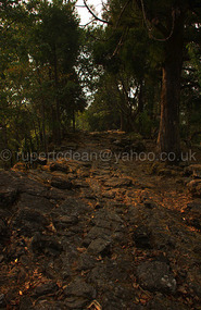 The stone walkway