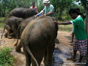 Me, Sri Lanka