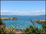 The View back to Auckland