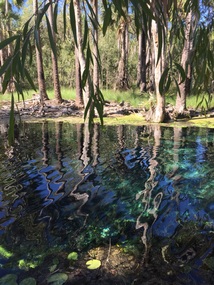 Bitter Springs