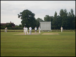 Cricket at Apperley