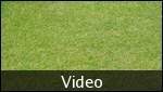 Video showing the slope of the cricket ground