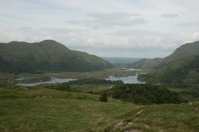 Killarney 65