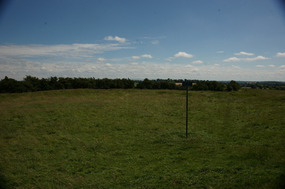 Tara 14