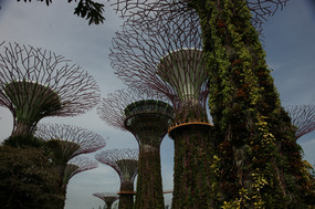 SIngapore 38