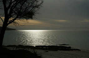 Freycinet 37