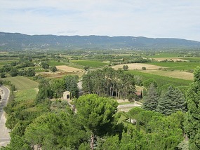 Children's Garden 2
