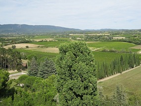 View from Childrens Garden