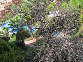 Lower pool