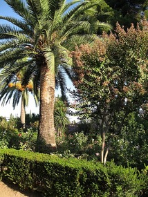 Alhambra Path
