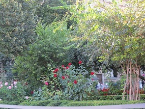 Garden in front of Charles V Palace